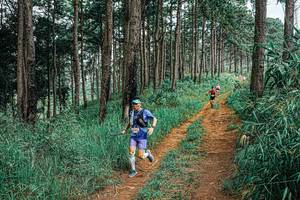 BIB: 
                            <button type="button" onclick="openModal(25703356)" class="btn btn-primary btn-sm float-right btn-popup" data-toggle="modal" data-target=".modal-high-quality">
                        <i class="fas fa-shopping-cart"></i> Add to Cart
                    </button>
                                            <button type="button" onclick="isThisMe(25703356, true)" class="btn btn-success btn-sm float-right btn-popup btn-isme hidden" data-toggle="tooltip" data-placement="bottom" title="นี่คือรูปของคุณใช่ไหม คลิกที่นี่เพื่อเอาเข้าอัลบั้ม">
                        <i class="fas fa-plus"></i> Add to album
                    </button>
                    <button type="button" onclick="isThisMe(25703356, false)" class="btn btn-warning btn-sm float-right btn-popup btn-isnotme hidden">
                        <i class="fas fa-ban"></i> Remove from album
                    </button>